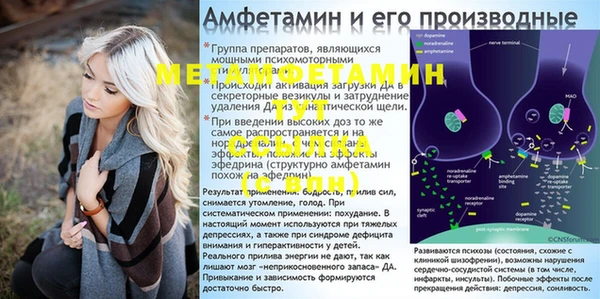винт Абаза