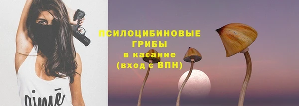 винт Абаза