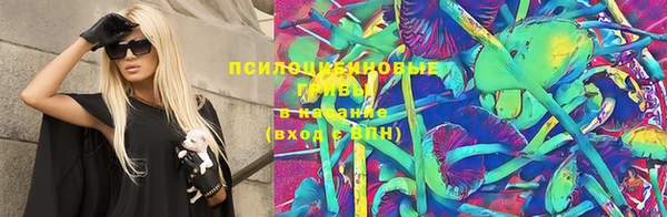 винт Абаза
