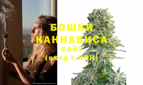 винт Абаза