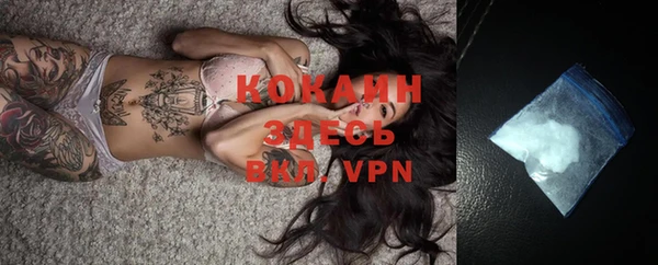 винт Абаза